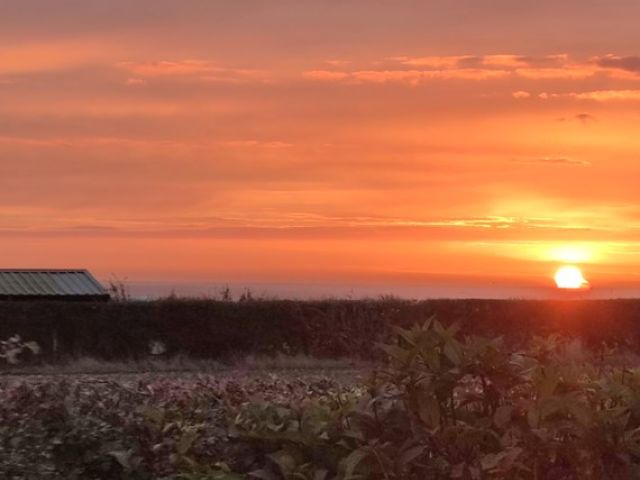 campsite-tent-pitches-yorkshire-20-kireth-ai